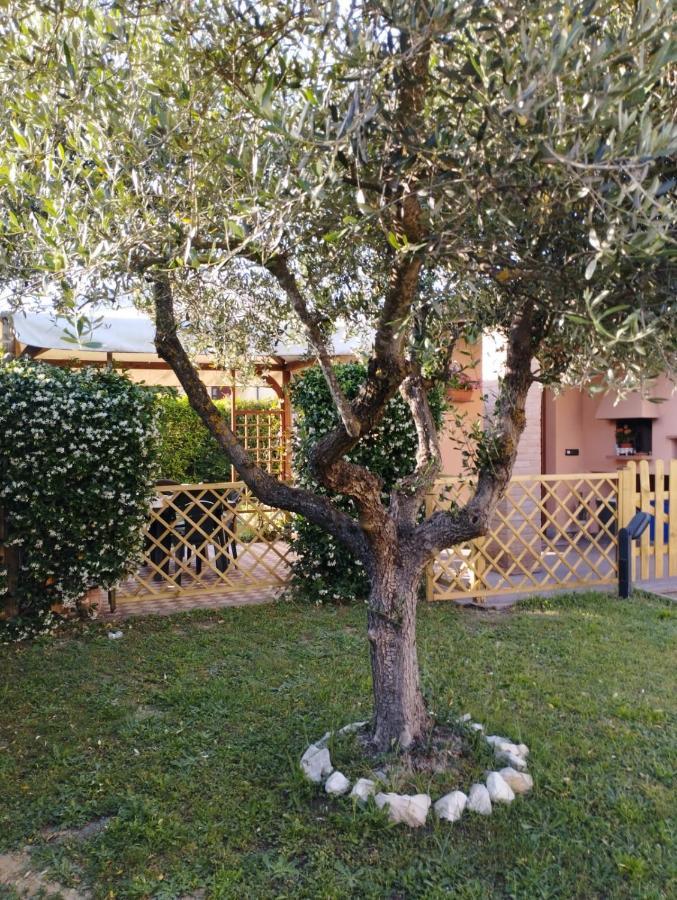 Villa Melody house - dépendance Castel del Bosco  Esterno foto
